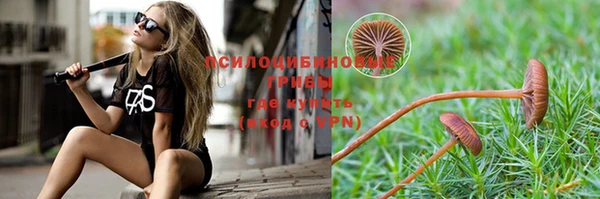 ГАЛЛЮЦИНОГЕННЫЕ ГРИБЫ Алексеевка