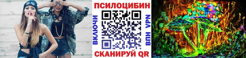 Псилоцибиновые грибы Psilocybe  наркотики  Ядрин 